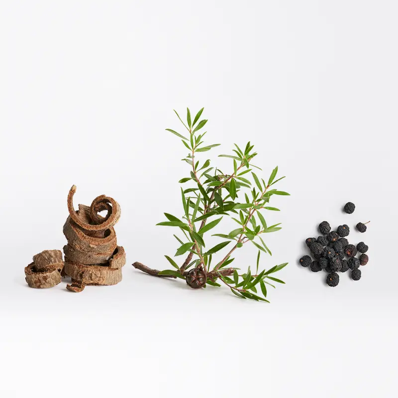 03 Methode Clarifiante Hair und Scalp Care News La Biosthetique Friseurwebsite notthoff